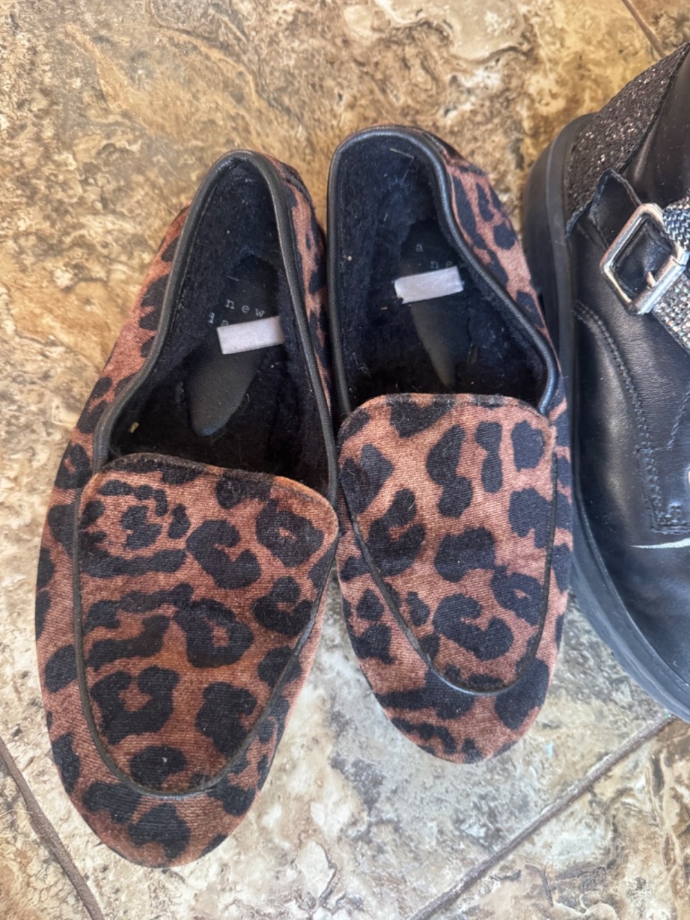 Shies - Picture 2 of 2